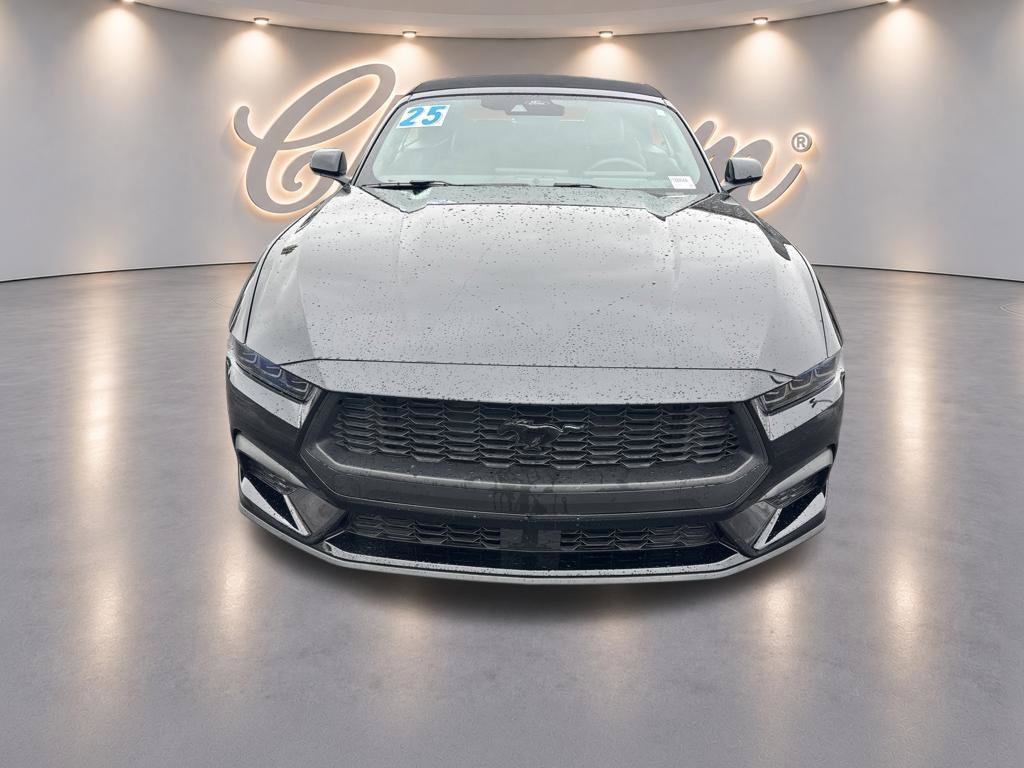 Used 2025 Ford Mustang Convertible w/ Mustang Nite Pony Package RWD image 8