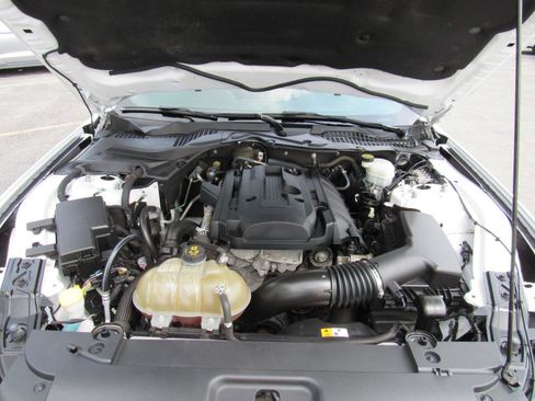 Used 2016 Ford Mustang Coupe w/ Wheel & Stripe Package RWD image 32