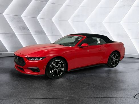 Used 2024 Ford Mustang Premium RWD image 3