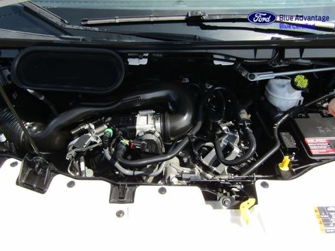 Certified 2024 Ford Transit 250 Low Roof w/ Exterior Upgrade Package RWD image 37