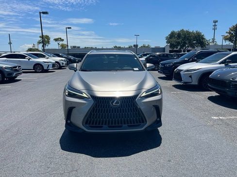 Used 2025 Lexus NX 350 AWD w/ Cold Area Package image 10