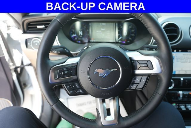 Used 2019 Ford Mustang GT Premium w/ Equipment Group 401A RWD image 2