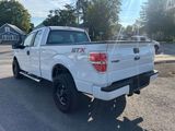 Used 2014 Ford F150 STX w/ Equipment Group 201A Mid image 3