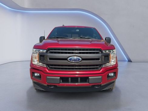 Used 2019 Ford F150 XLT w/ Equipment Group 302A Luxury AWD/4WD image 9