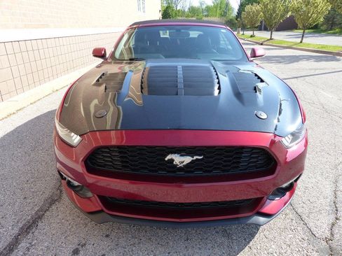 Used 2017 Ford Mustang GT Premium RWD image 14