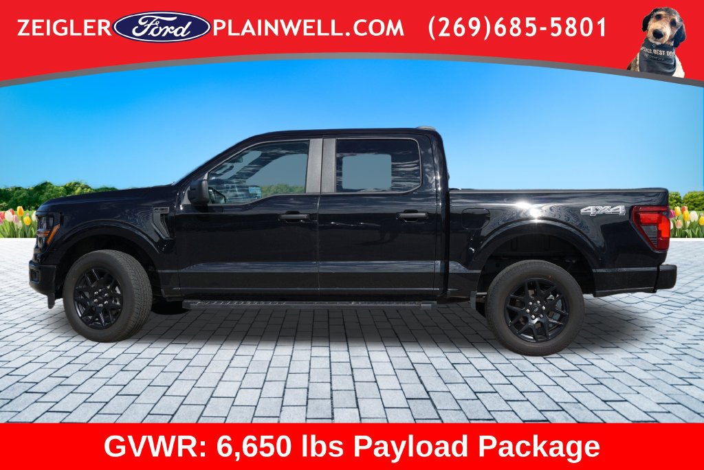 Used 2024 Ford F150 STX w/ STX Black Appearance Package AWD/4WD image 2