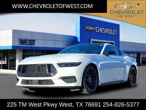 Used 2024 Ford Mustang Coupe w/ Mustang Nite Pony Package RWD image 1