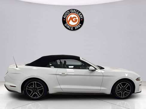 Used 2022 Ford Mustang Premium image 8