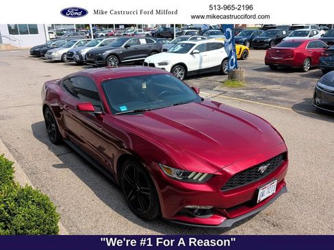 Used 2016 Ford Mustang Premium w/ Ecoboost Performance Package RWD image 3