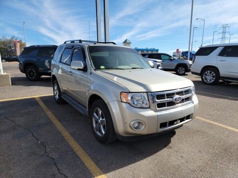 Used 2010 Ford Escape Limited image 3