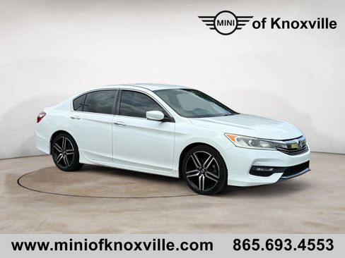 Used 2017 Honda Accord Sport Special Edition image 1