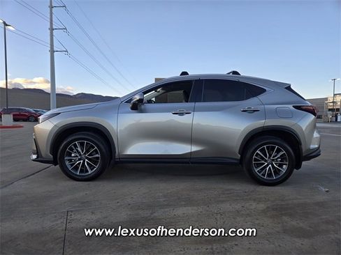 Certified 2025 Lexus NX 350h AWD w/ Cold Area Package image 3