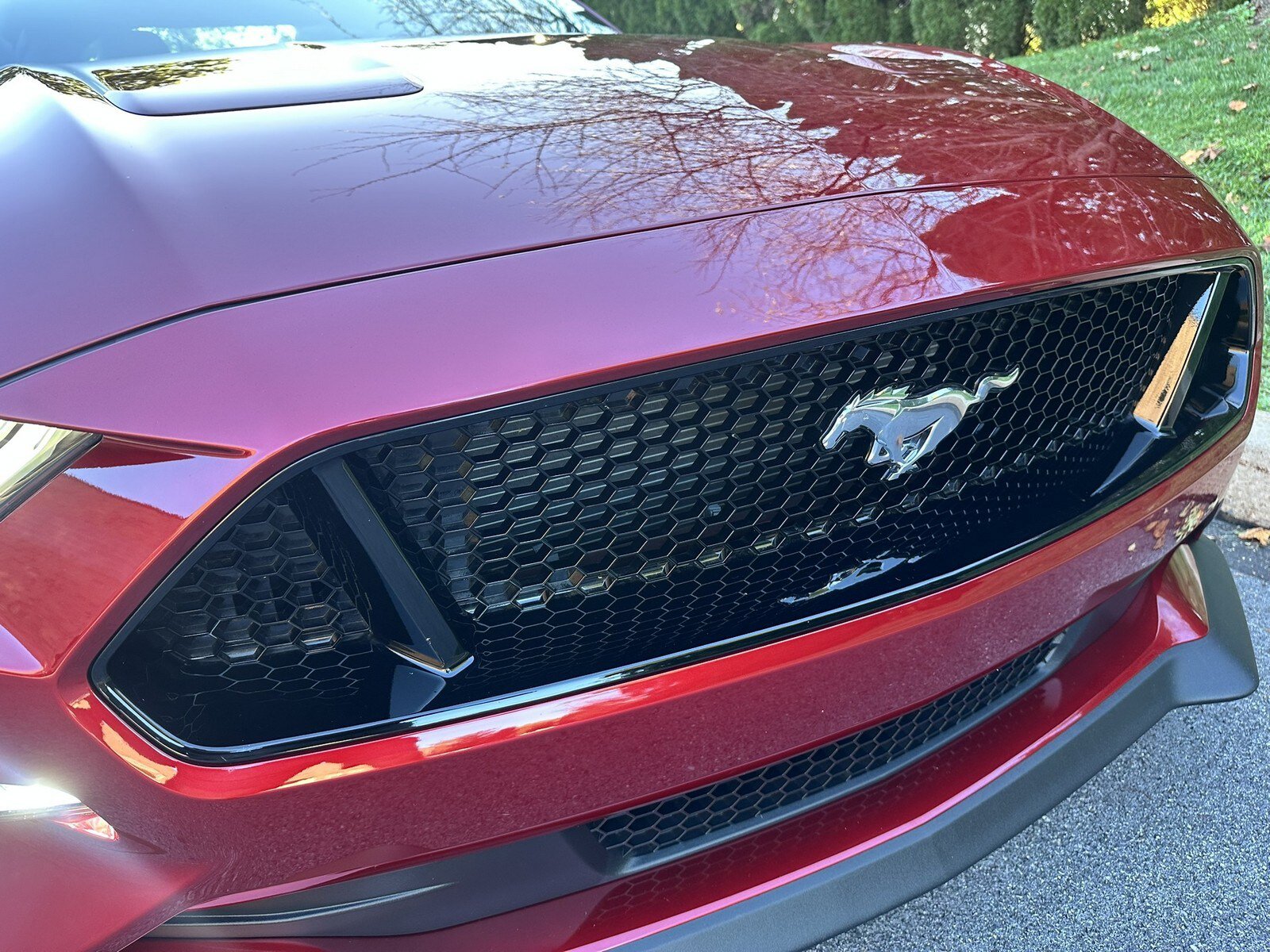 Used 2019 Ford Mustang GT Premium w/ GT Performance Package RWD image 68