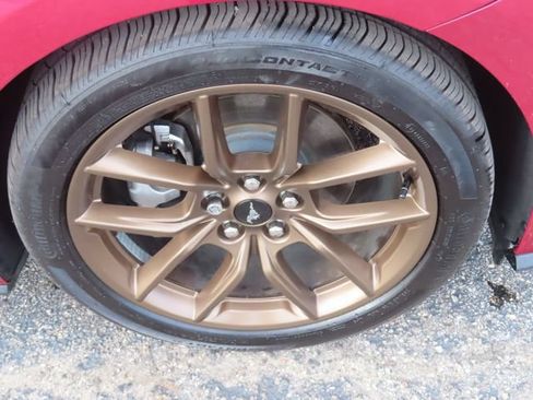 Used 2025 Ford Mustang Premium RWD image 13