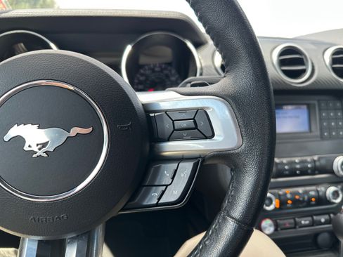 Used 2019 Ford Mustang Coupe RWD image 31