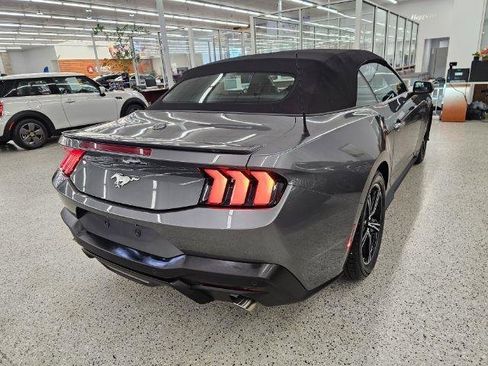 Used 2025 Ford Mustang Premium RWD image 4