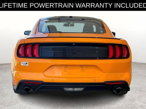 Used 2019 Ford Mustang Coupe w/ Equipment Group 101A image 6