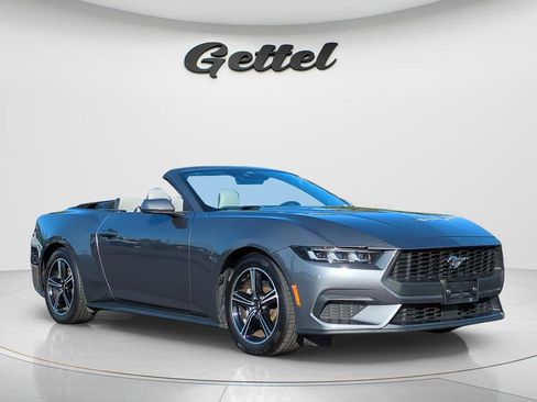 Used 2024 Ford Mustang Premium RWD image 3