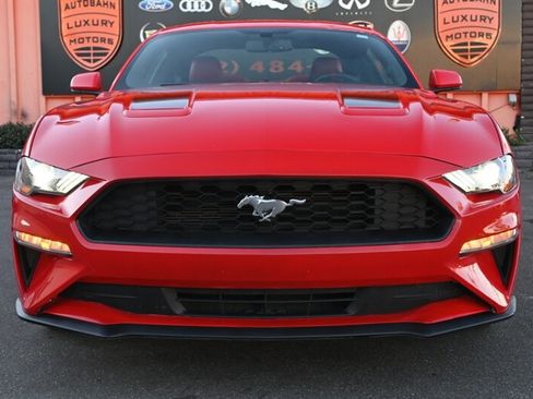 Used 2020 Ford Mustang Coupe RWD image 2