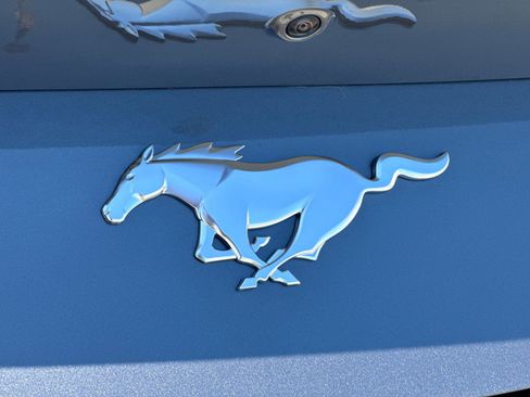 New 2025 Ford Mustang Coupe image 29