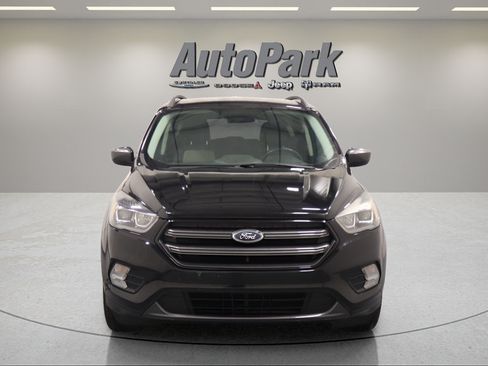 Used 2019 Ford Escape SEL AWD/4WD image 6