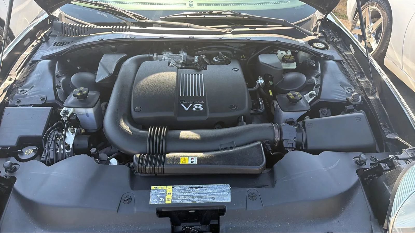 Used 2002 Ford Thunderbird RWD image 18