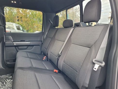 New 2023 Ford F150 XLT w/ Equipment Group 302A High image 28