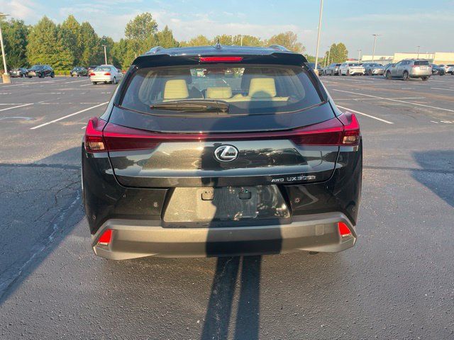 Used 2025 Lexus UX 300h AWD w/ Cold Area Package image 4