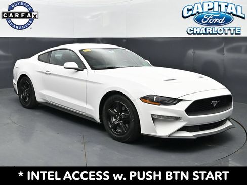 Used 2019 Ford Mustang Coupe RWD image 3