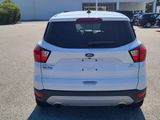 Used 2019 Ford Escape SE image 3