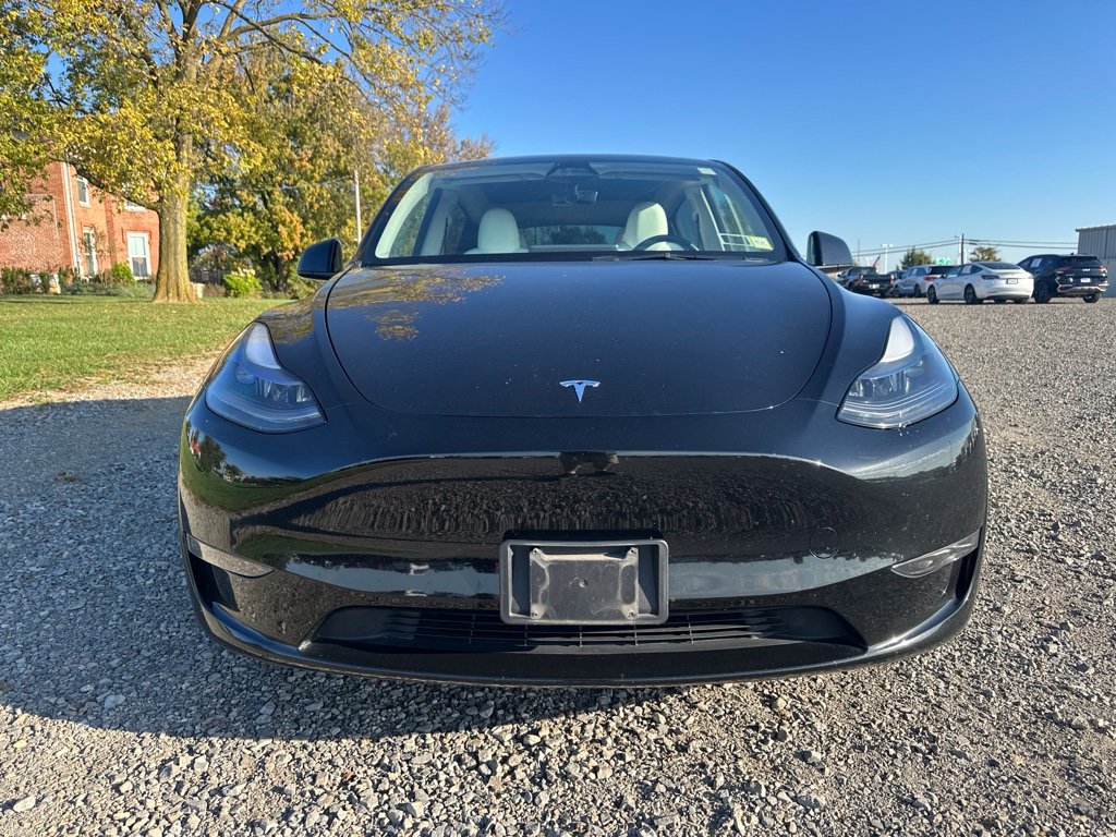 Used 2023 Tesla Model Y Performance AWD/4WD image 3
