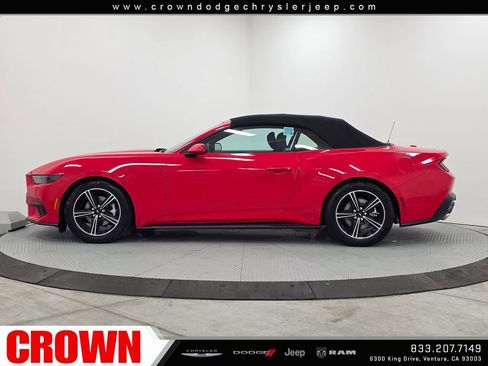 Used 2025 Ford Mustang Convertible RWD image 42