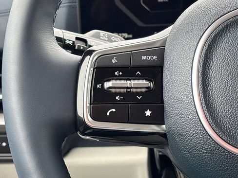 New 2025 Kia Carnival SX Prestige image 30