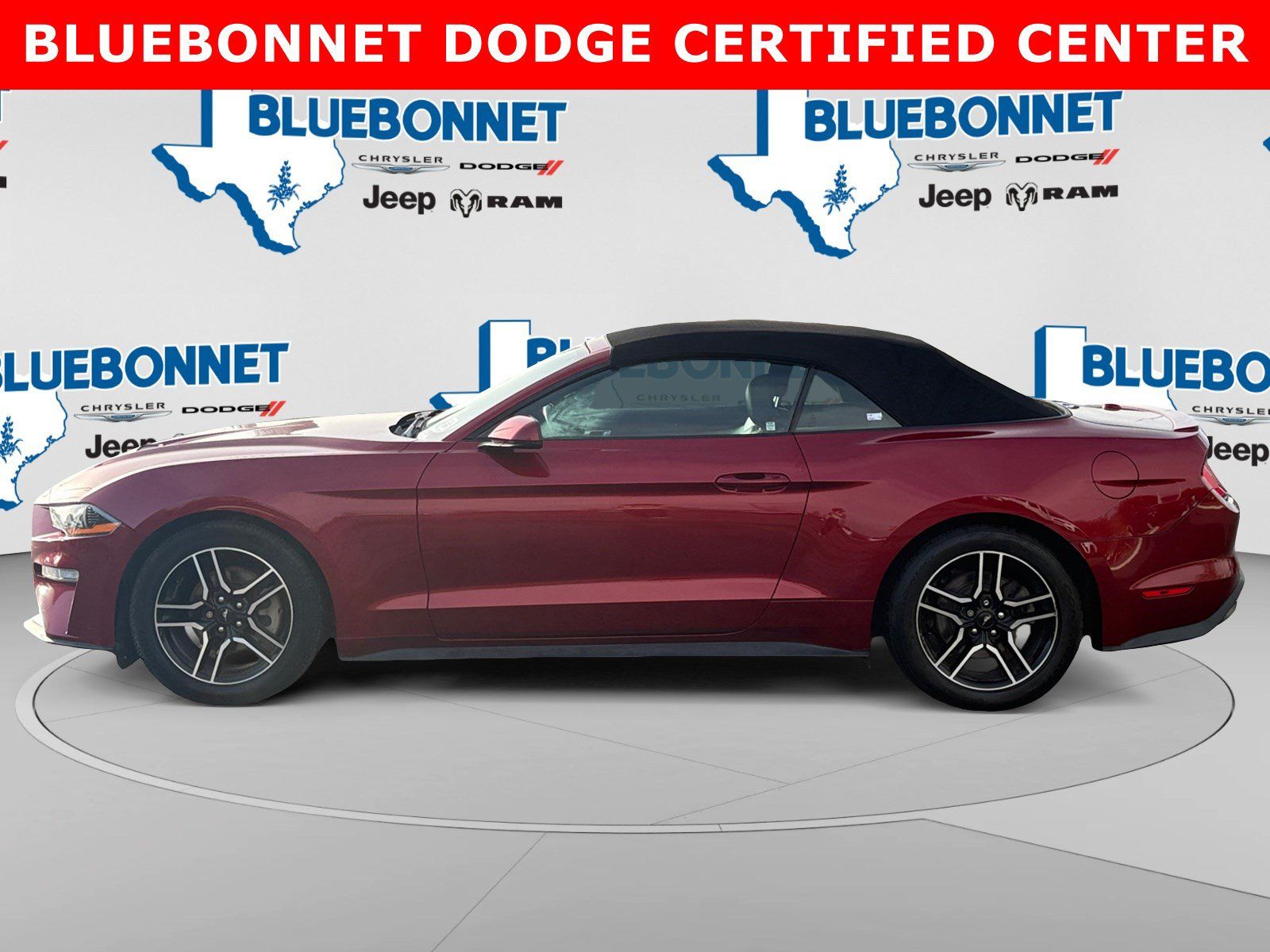 Used 2019 Ford Mustang Premium w/ Ford Safe & Smart Package RWD image 8