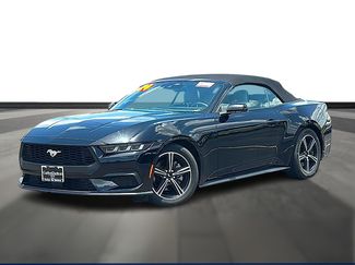 Used 2024 Ford Mustang Premium RWD video 1