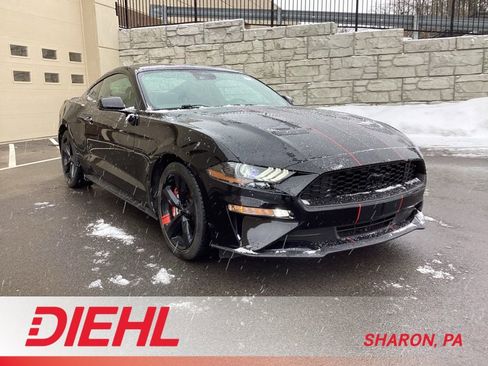 Used 2021 Ford Mustang Premium w/ Equipment Group 201A image 1
