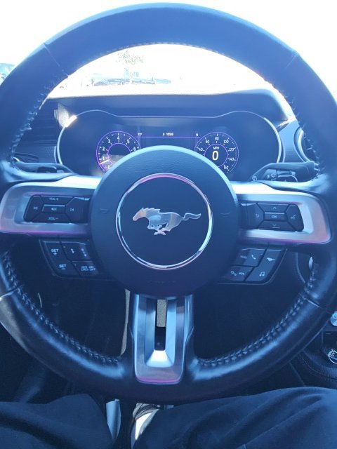 Used 2020 Ford Mustang GT Premium w/ Equipment Group 401A RWD image 19