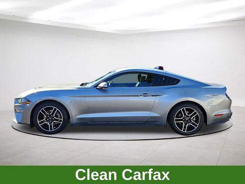 Used 2022 Ford Mustang EcoBoost w/ Equipment Group 101A image 4