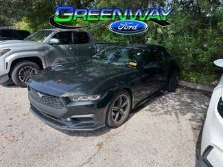 Used 2024 Ford Mustang Premium RWD video 1