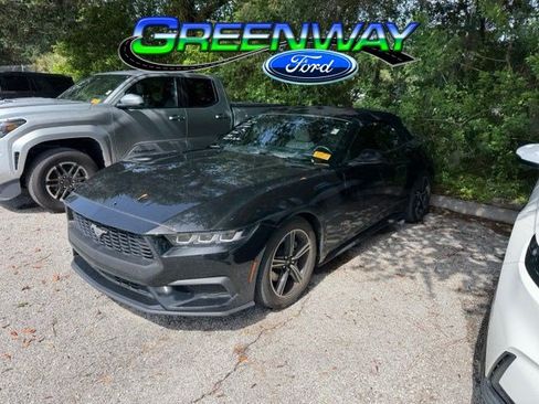 Used 2024 Ford Mustang Premium RWD image 1