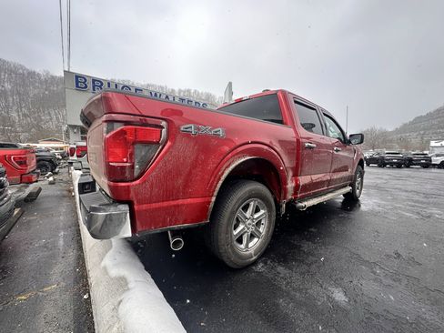 Used 2025 Ford F150 XLT w/ Equipment Group 301A Standard image 6