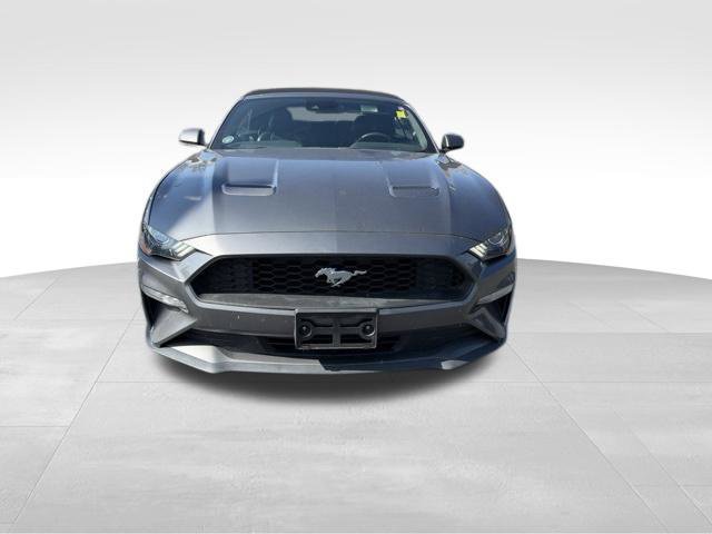 Used 2022 Ford Mustang Premium RWD image 2