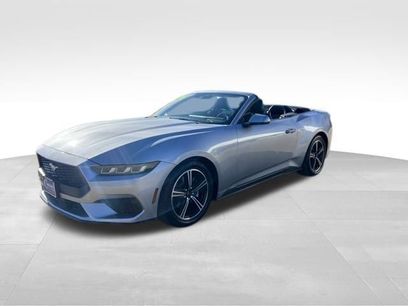 Used 2024 Ford Mustang Premium