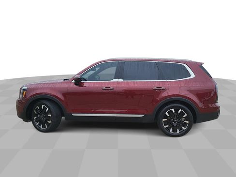 Used 2023 Kia Telluride SX Prestige AWD/4WD image 5