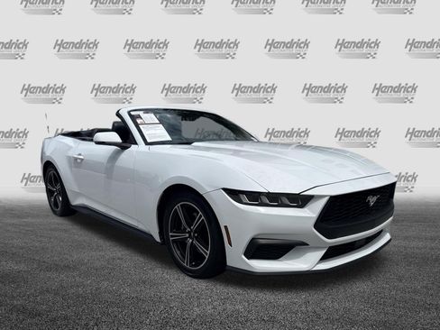 Used 2024 Ford Mustang Premium RWD image 2