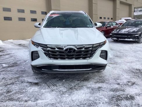 Certified 2022 Hyundai Tucson Limited image 2