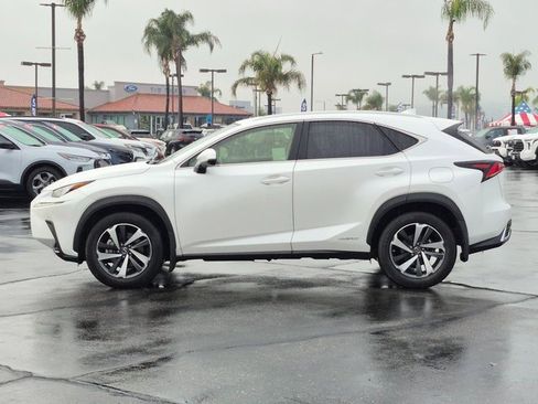 Used 2020 Lexus NX 300h AWD w/ Premium Package image 9