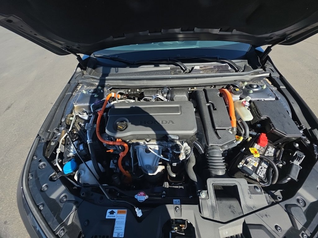 Used 2025 Honda Accord EX-L image 11