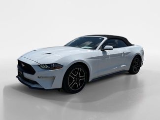 Used 2019 Ford Mustang Premium RWD video 1