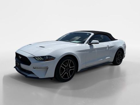 Used 2019 Ford Mustang Premium RWD image 1